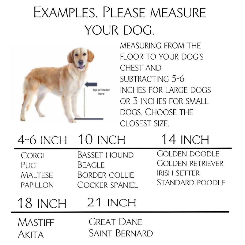2 bowl elevated dog feeder with storage