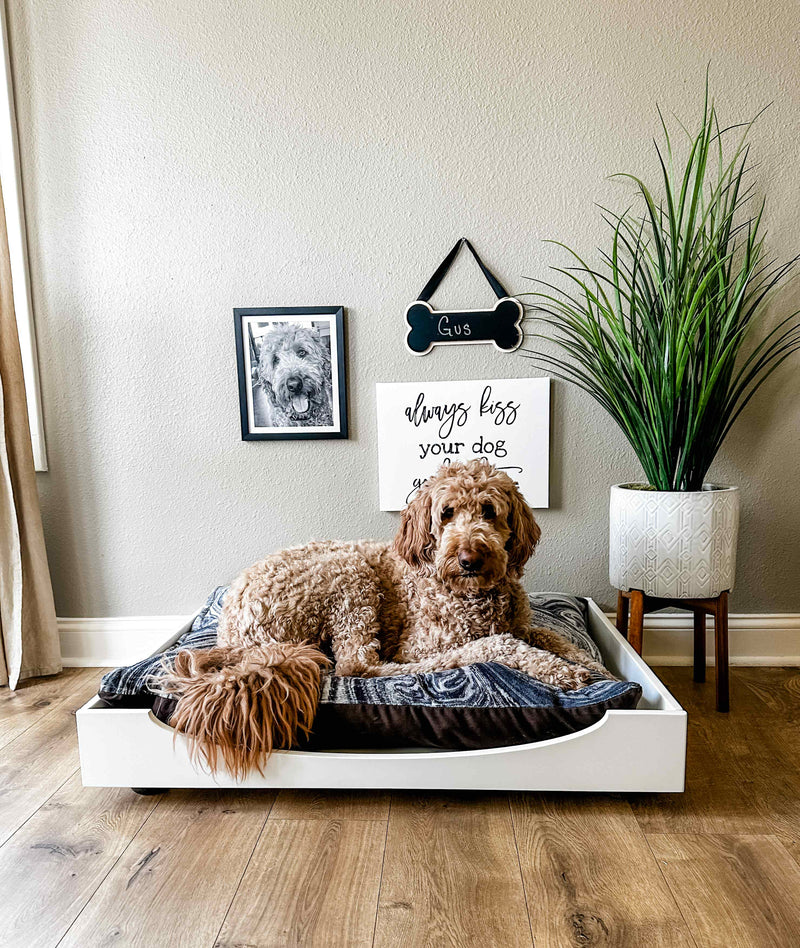 elevated dog bed