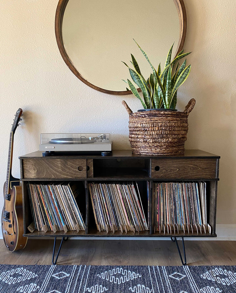 Vinyl album storage cabinet ~