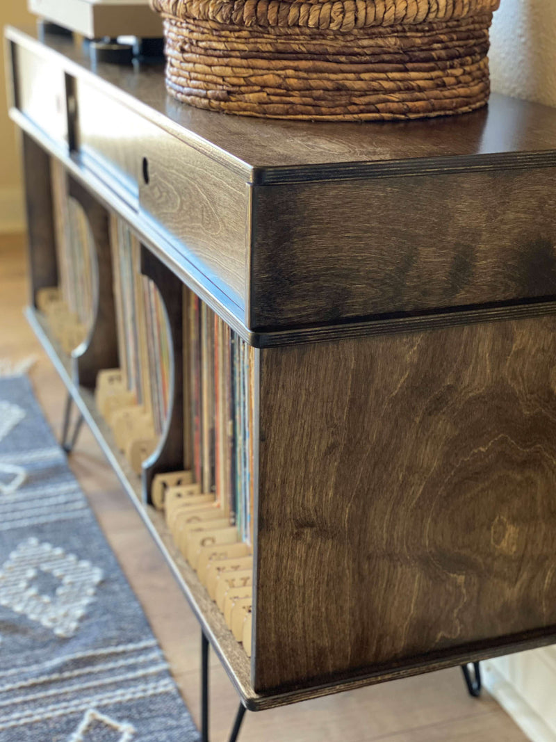 Vinyl album storage cabinet ~