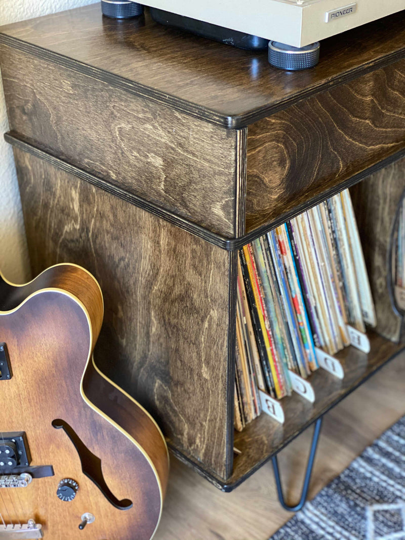 Vinyl album storage cabinet ~