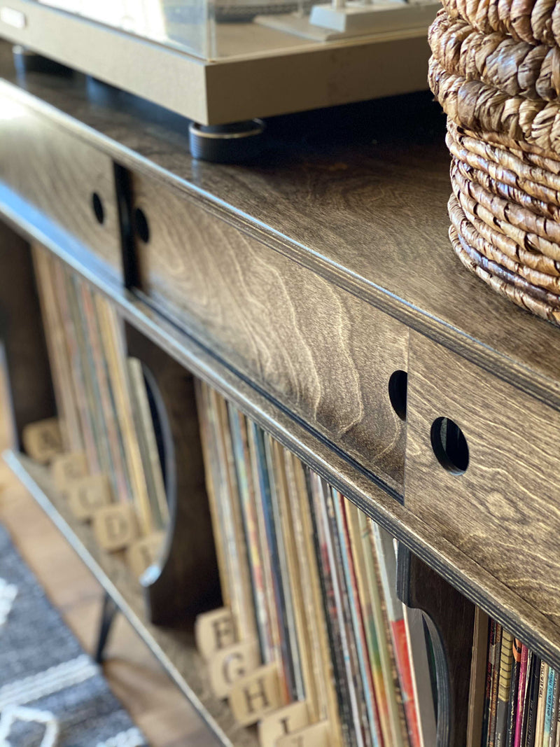 Vinyl album storage cabinet ~