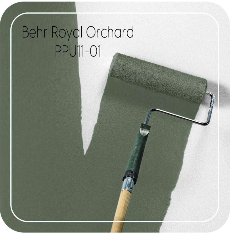 Dashwood in green