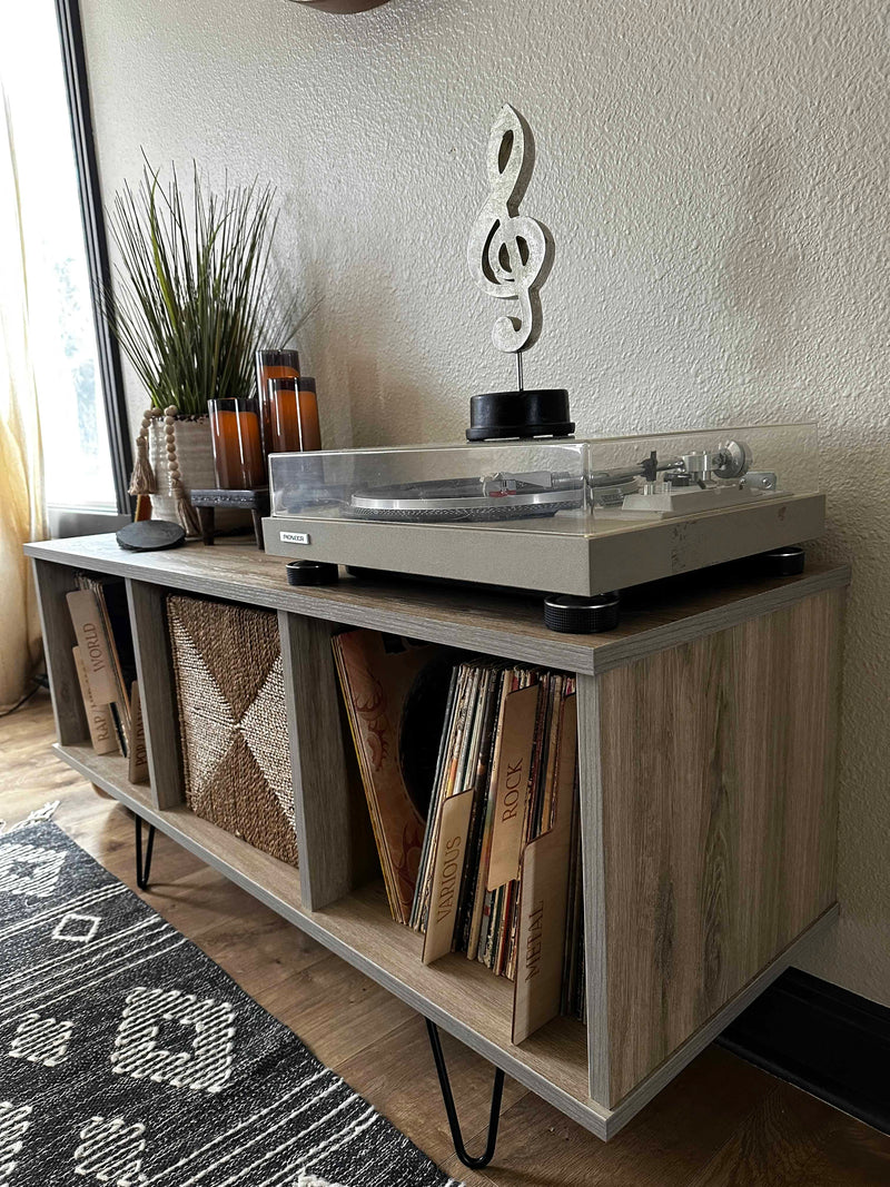 Vinyl album storage cabinet ~