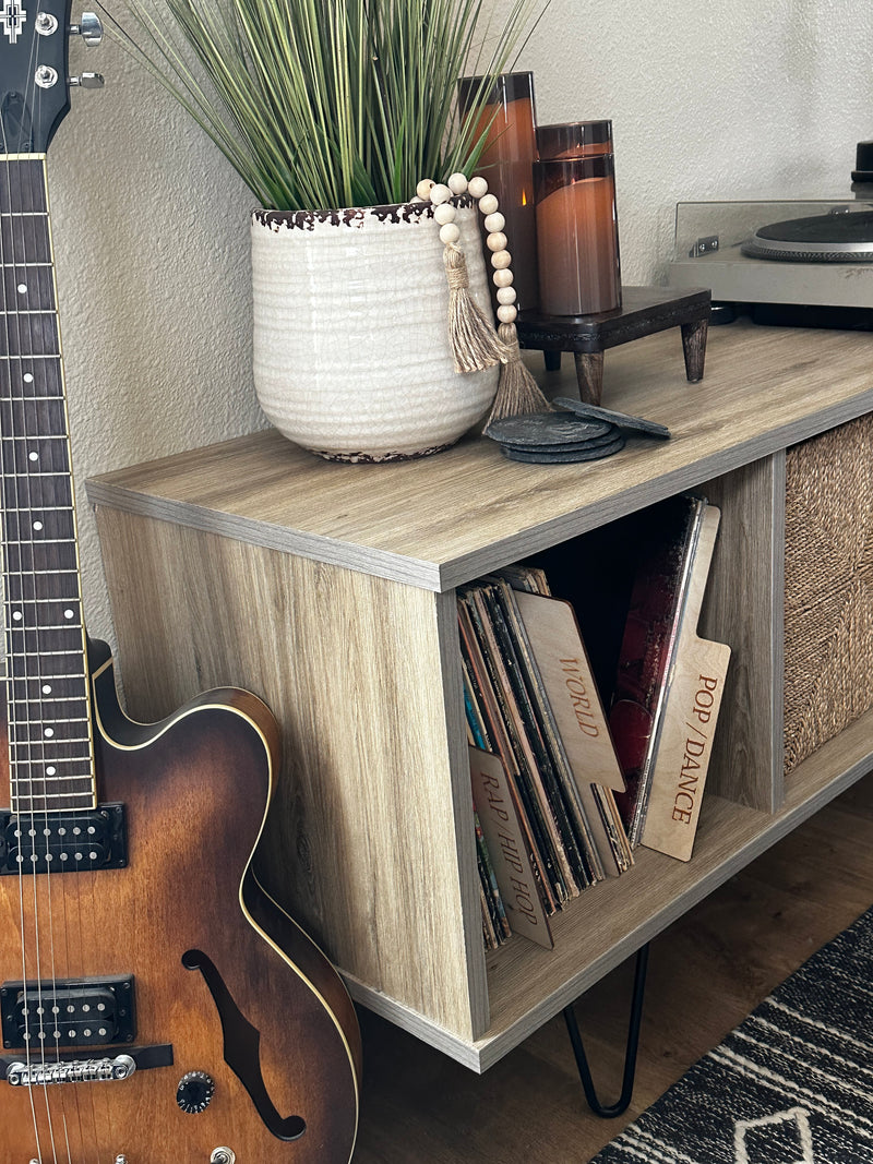 Vinyl album storage cabinet ~