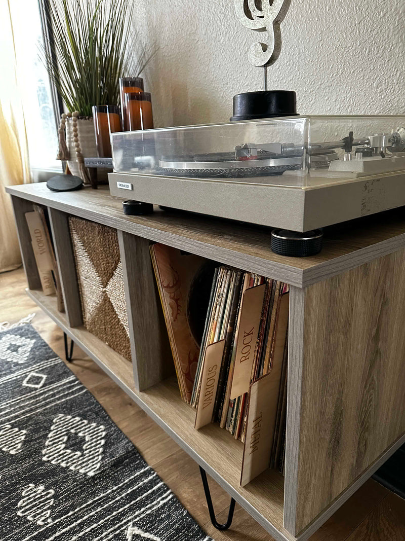 Vinyl album storage cabinet ~