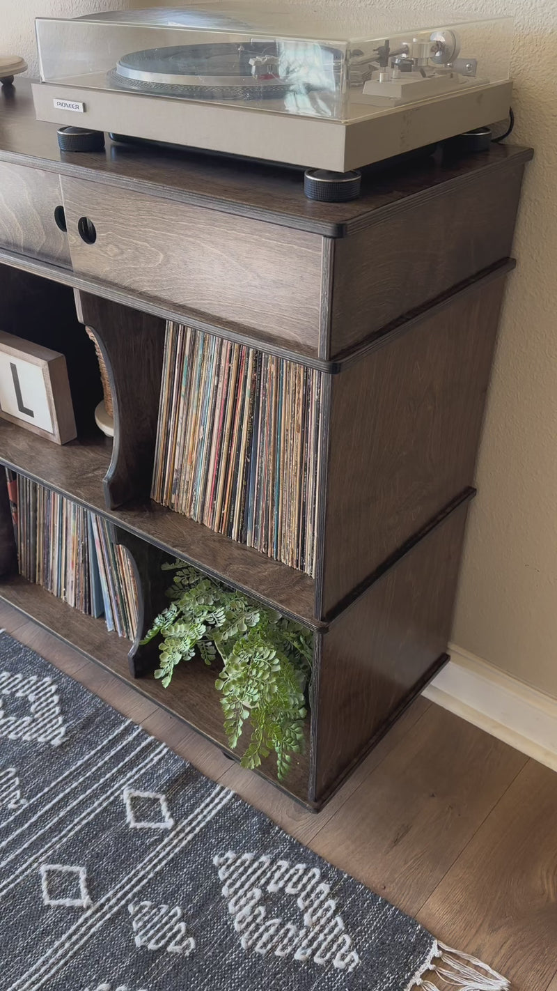 Credenza storage with media compartments