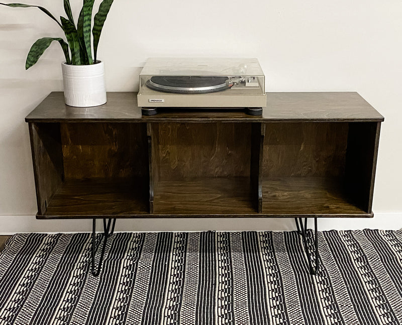 Vinyl album storage cabinet