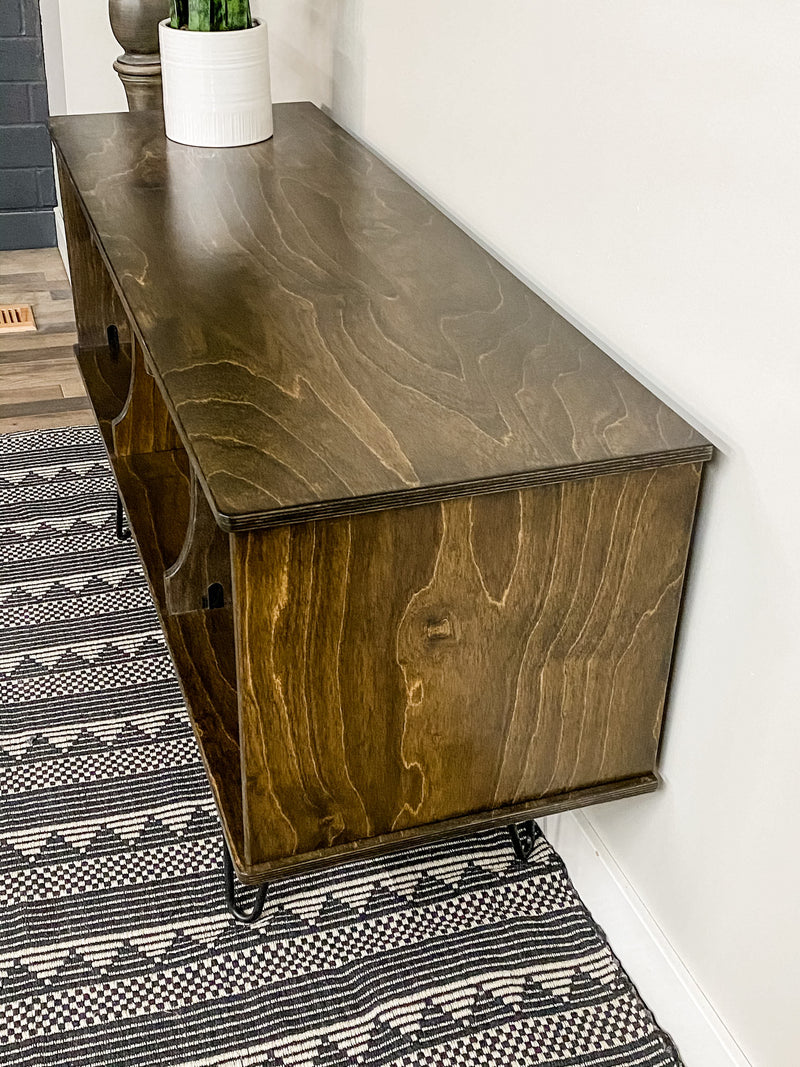 Vinyl album storage cabinet