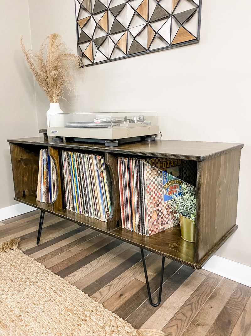 Vinyl album storage cabinet