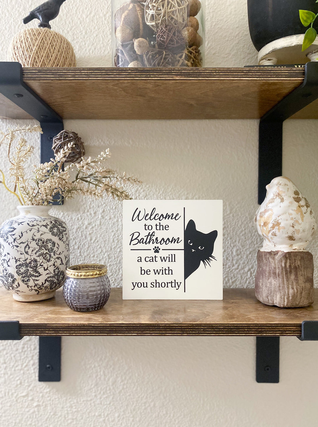 signs for cats