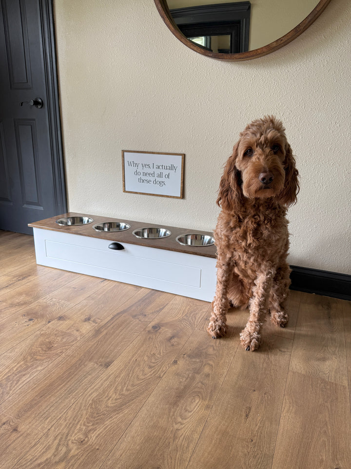 Four bowl large size white elevated dog feeder with drawer