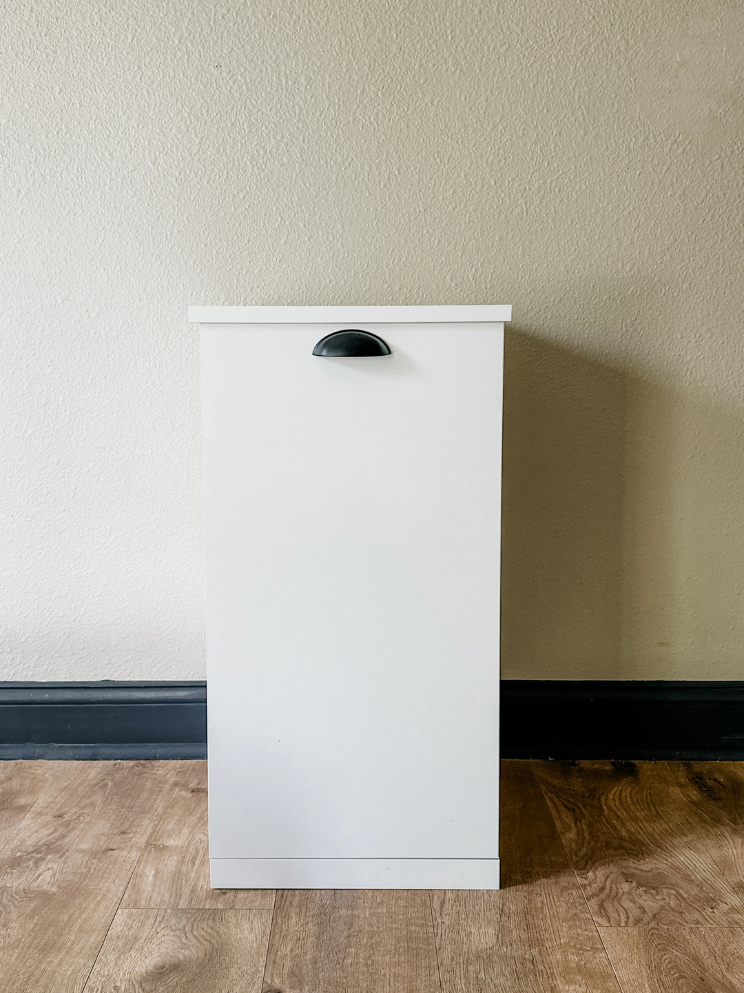 Single style pet food storage in white modern style