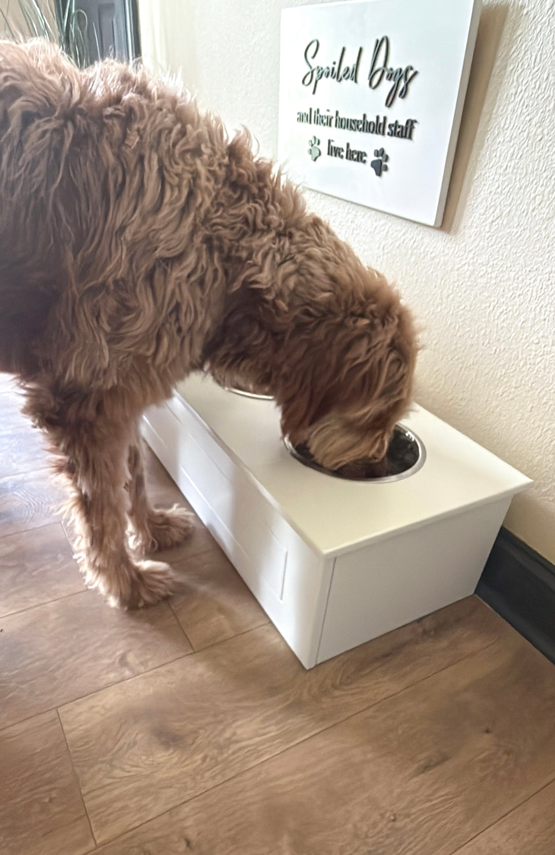 Four bowl elevated Yeti boomer bowl feeder stand