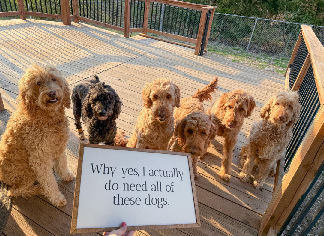 Why yes funny dog sign