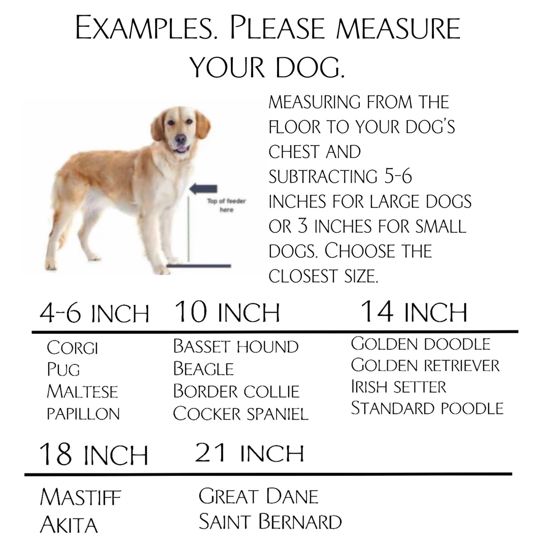 3 bowl elevated pet feeder with storage drawer