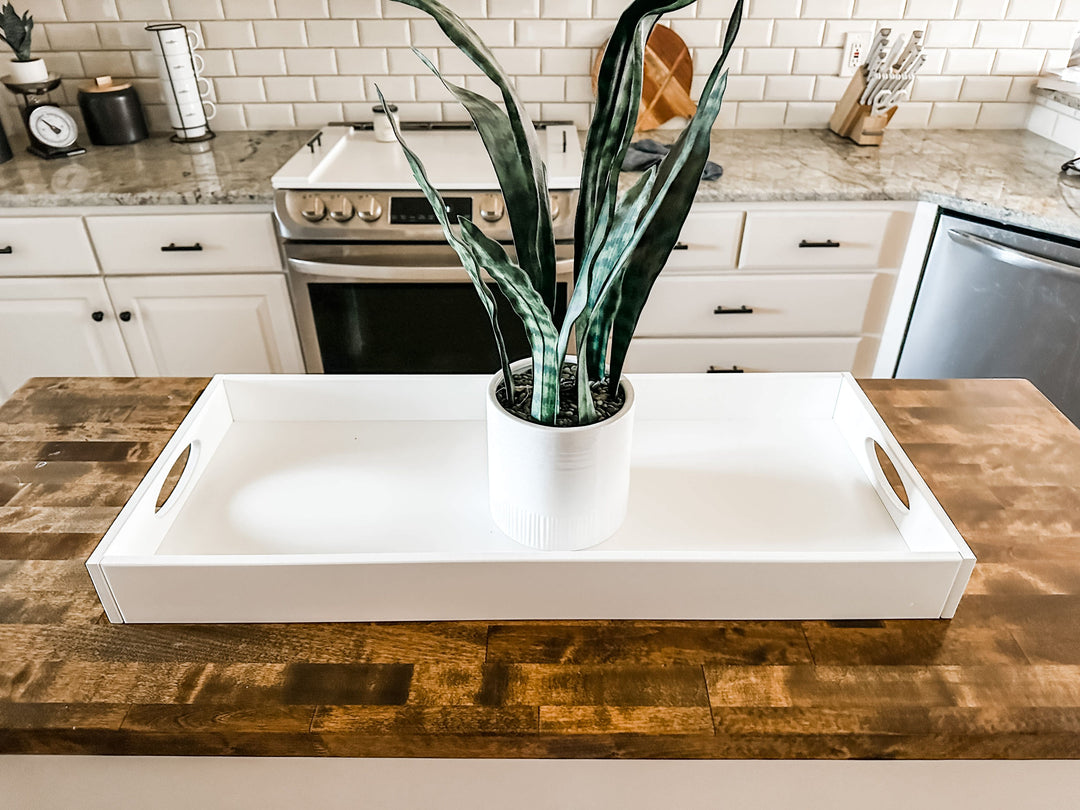 Counter organizer tray