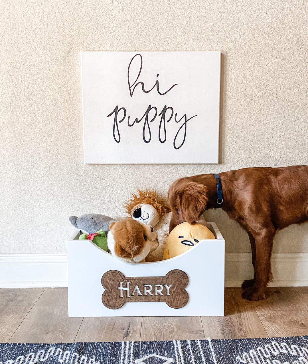 Dog bone sign