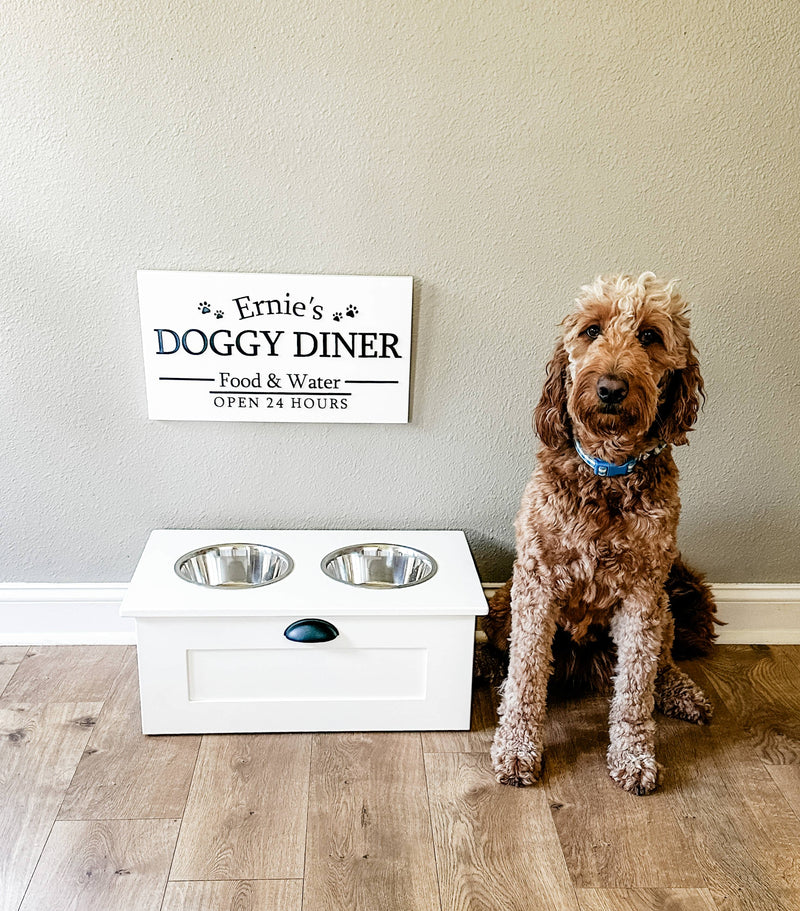 2 bowl elevated dog feeder with storage (white/flat)