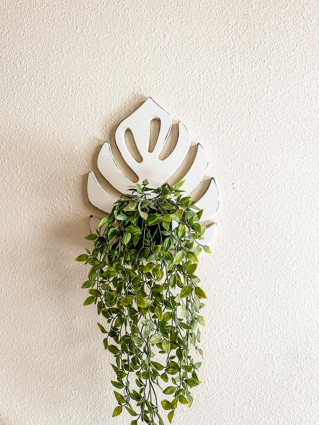 Monstera leaf shelf