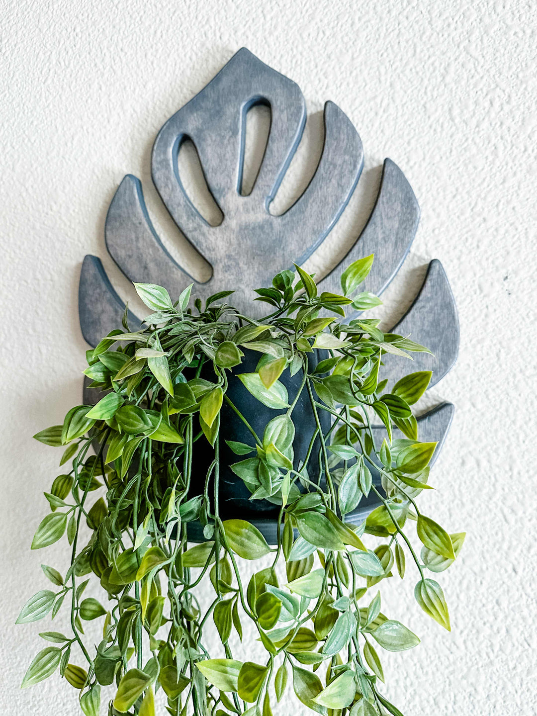Monstera leaf shelf
