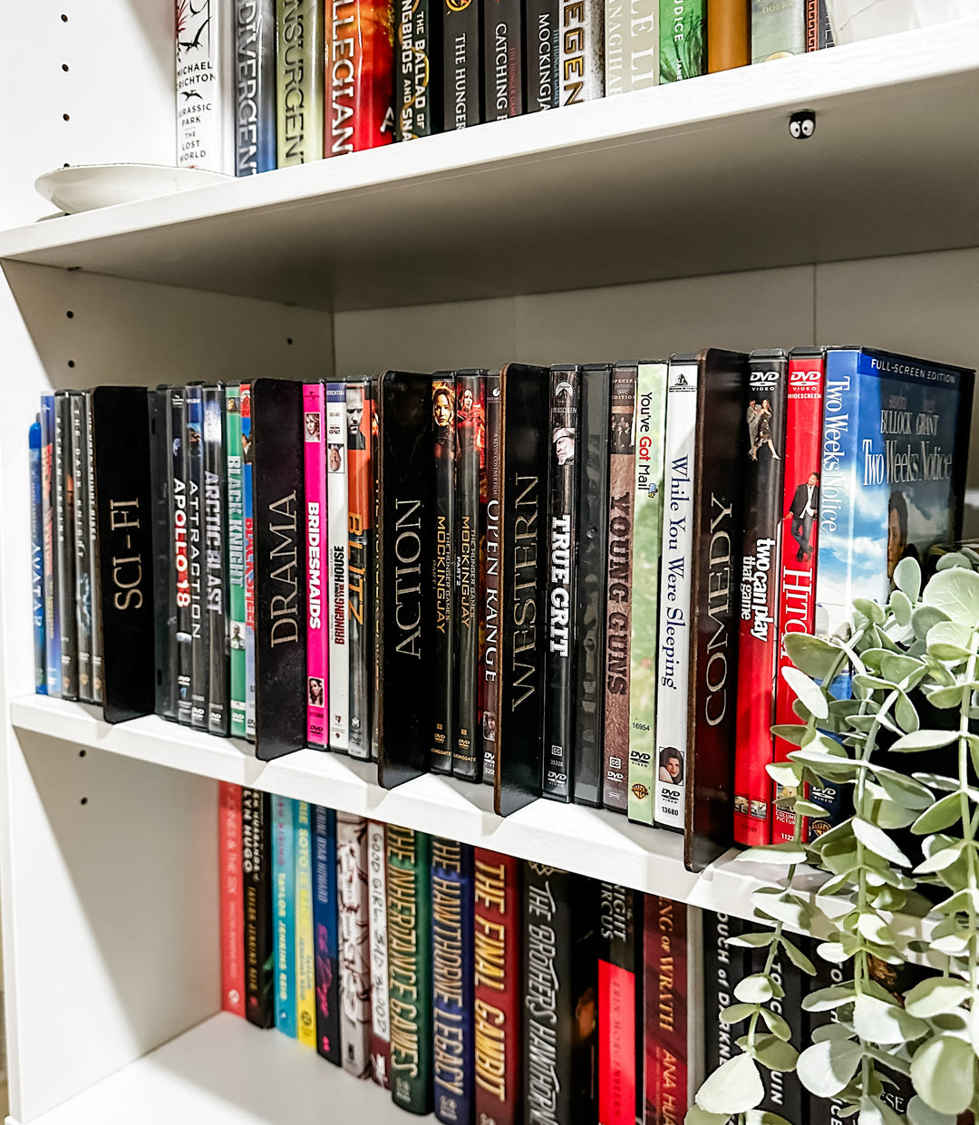 DVD collection organizers in black