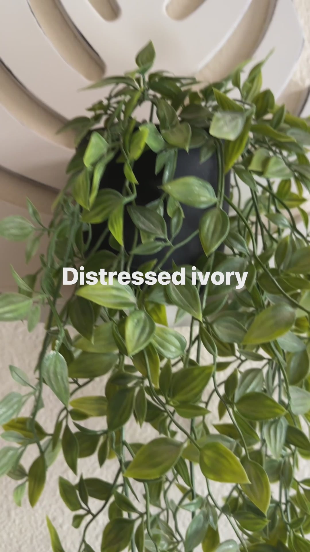 Monstera leaf shelf