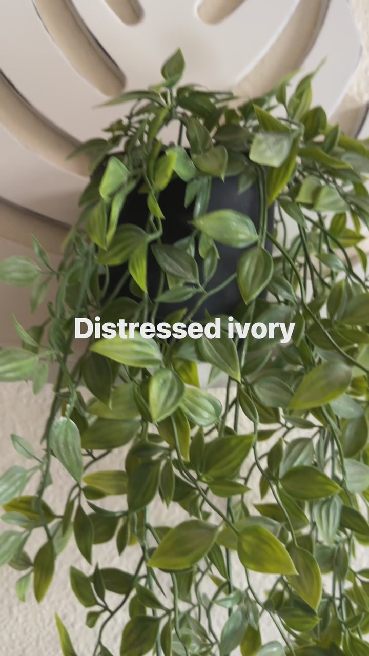 Monstera leaf shelf
