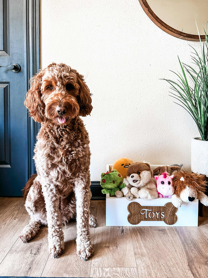 Customized toy box for your pets in white