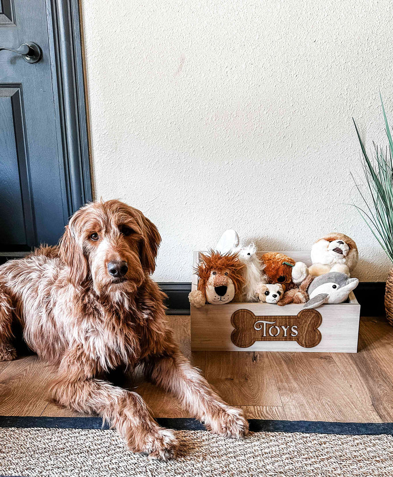 Customized toy box for your pets in white wash