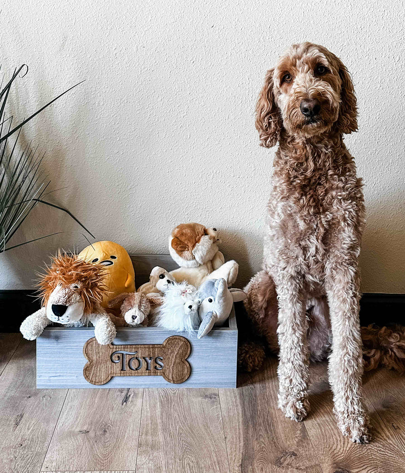 Customized toy box for your pets in worn gray