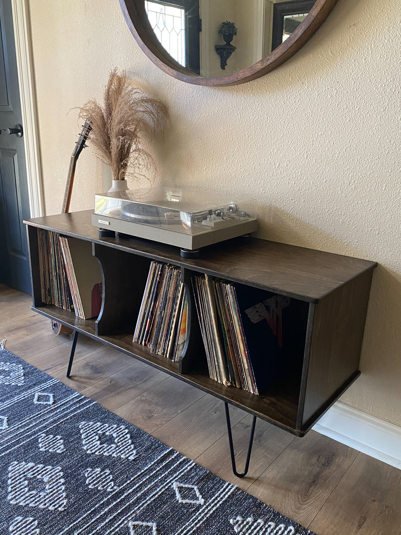 Vinyl Album Storage Cabinet ~ in  dark brown